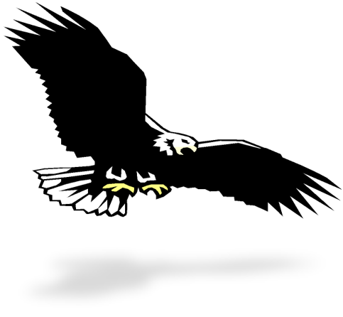 Go Eagles! 